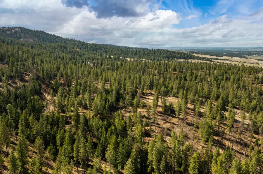 179XX E Belmont Rd, Mica, WA 99023 - Image #3