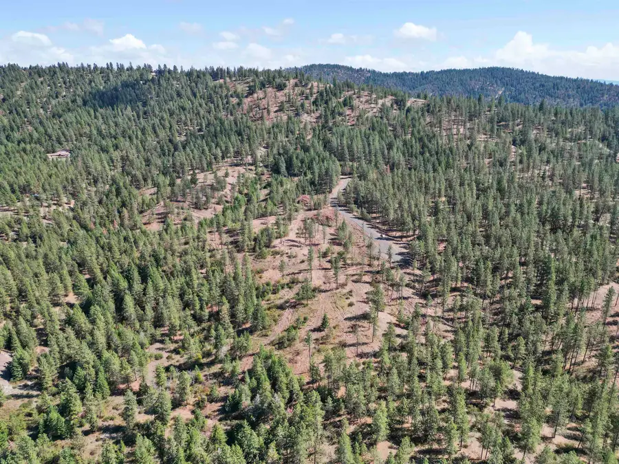 NKA Weaver Way, Deer Park, WA 99006 - Image #3