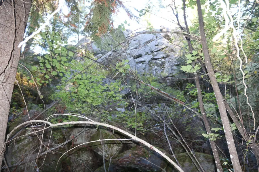 7289 Fertile Valley Rd, Newport, WA 99156 - Image #2