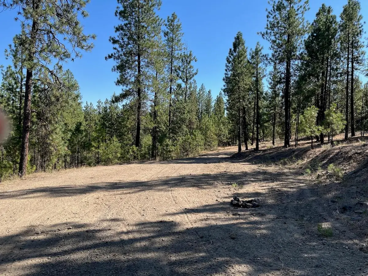 Lot 3 Top Notch Bob White Ln, Davenport, WA 99122 - Image #1