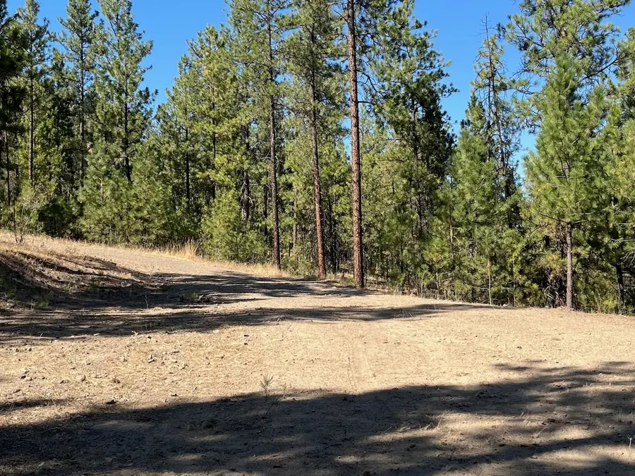 Lot 3 Top Notch Bob White Ln, Davenport, WA 99122 - Image #2