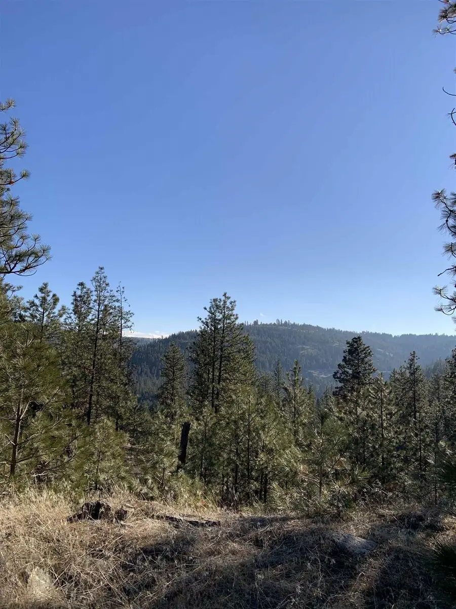 Lot 1 Blue Jay Bob White Ln, Davenport, WA 99122 - Image #2