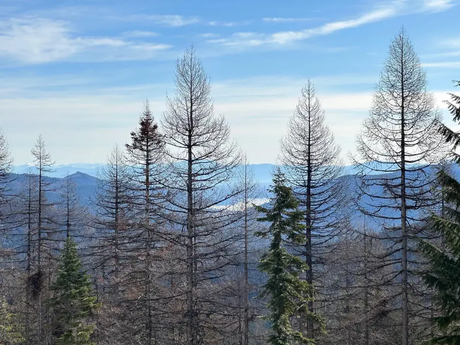 28600 N Mt. Spokane Park Dr #612, Mead, WA 99021 - Image #3