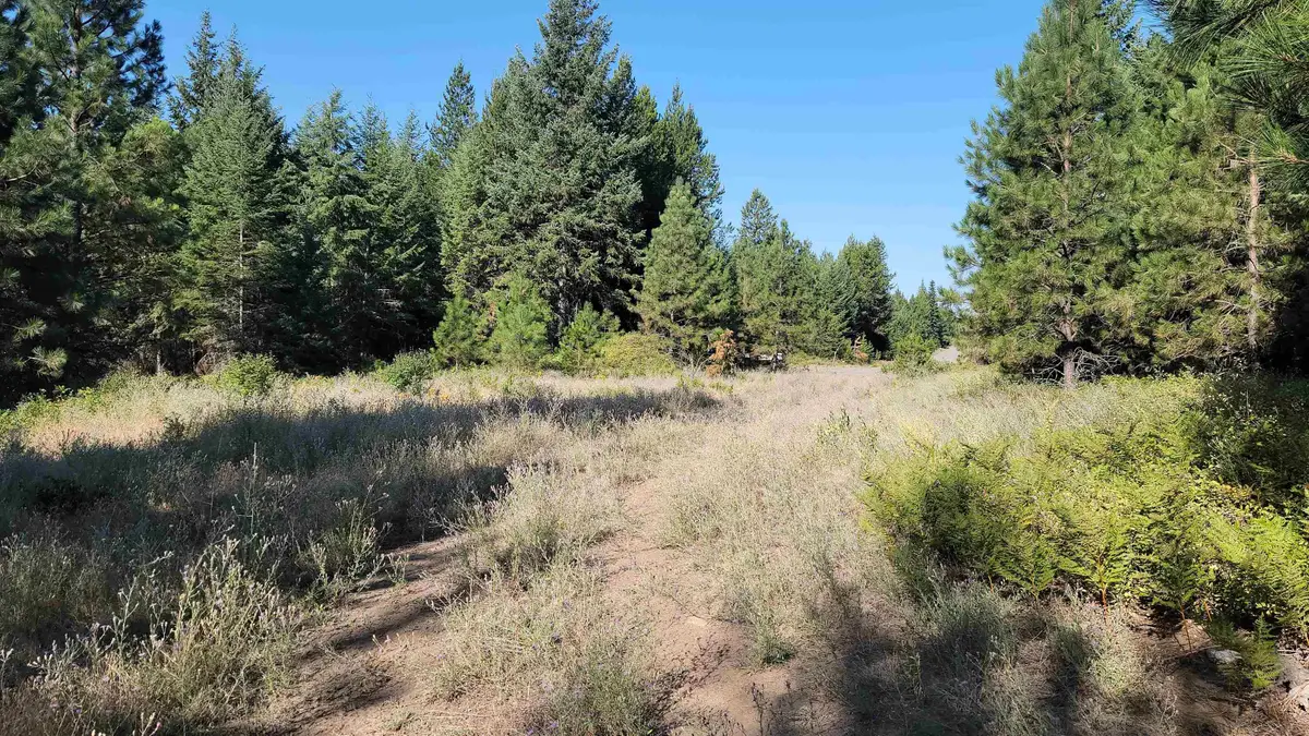 642 Overlook Dr, Newport, WA 99156 - Image #1