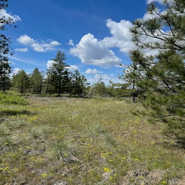 31025 Ruffed Grouse E Dr, Davenport, WA 99122 - Image #2