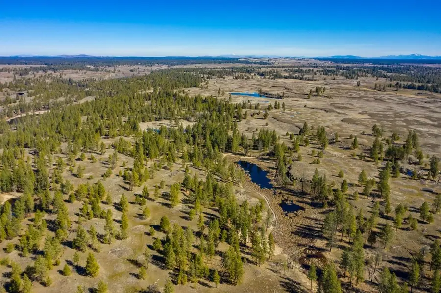 Lot 8 02311.9028 Unassigned Address, Cheney, WA 99032 - Image #2
