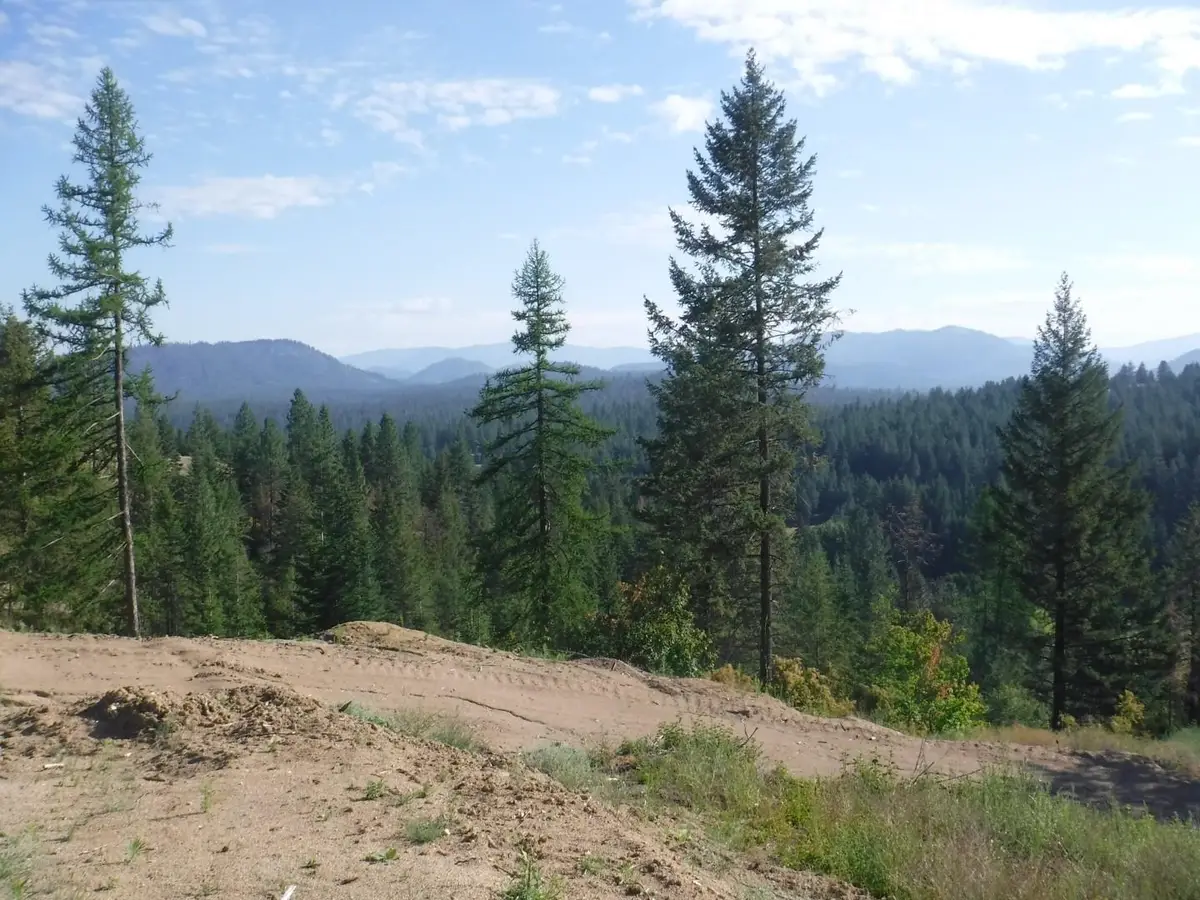 Lot 2 Moose Ridge Way, Loon Lake, WA 99148 - Image #1