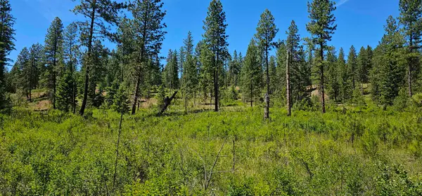 20X Lynx Rd, Inchelium, WA 99138