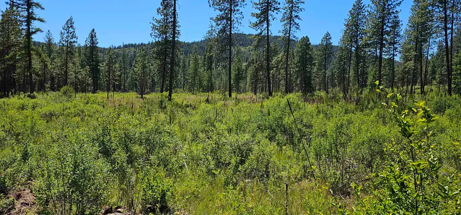 20X Lynx Rd, Inchelium, WA 99138 - #2