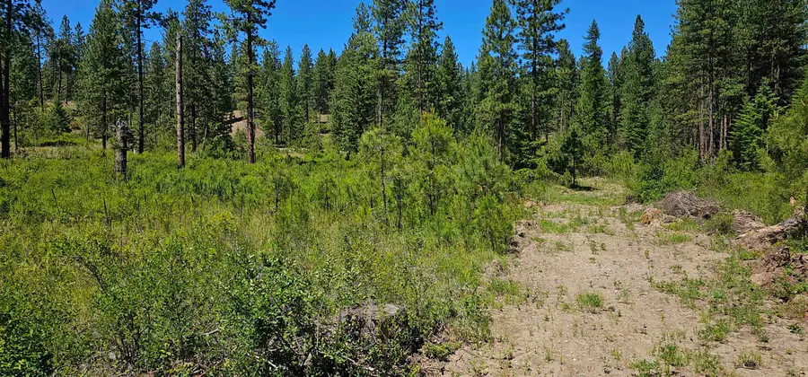 20X Lynx Rd, Inchelium, WA 99138 - #3