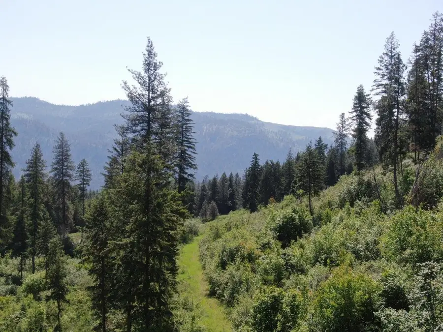 Lot 4 Matsen Creek Rd, Kettle Falls, WA 99141-0000 - #2