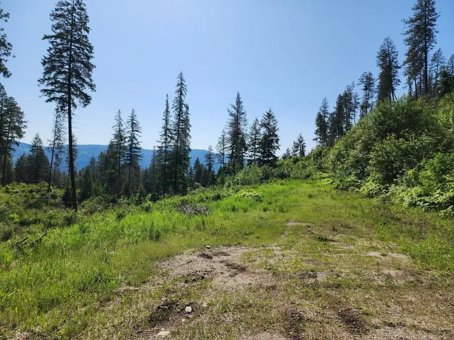 Lot 4 Matsen Creek Rd, Kettle Falls, WA 99141-0000 - #3