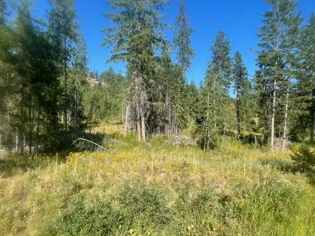 NKN Bead Lake Road Rd, Newport, WA 99156 - #3