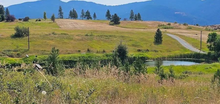 1041 Ward Way, Colville, WA 99114 - #2