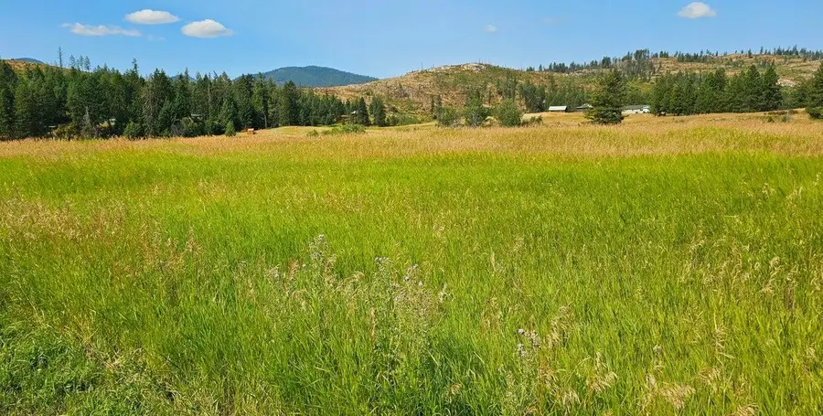 1041 Ward Way, Colville, WA 99114 - #3