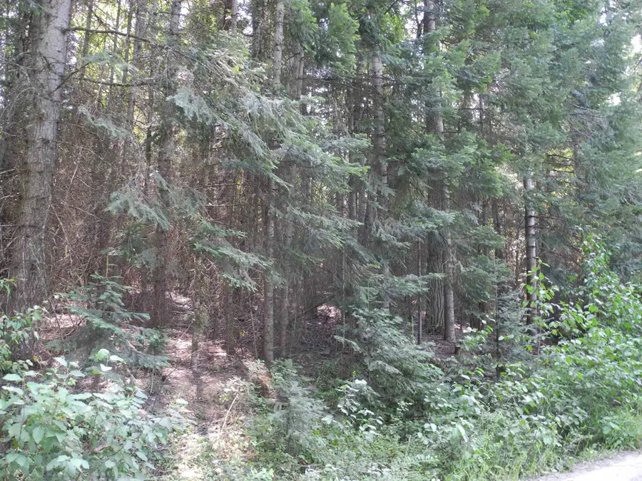 600 Huntley Ln, Newport, WA 99156 - #3