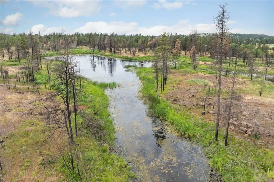 9508 S Freeman Dr, Medical Lake, WA 99022 - Image #3