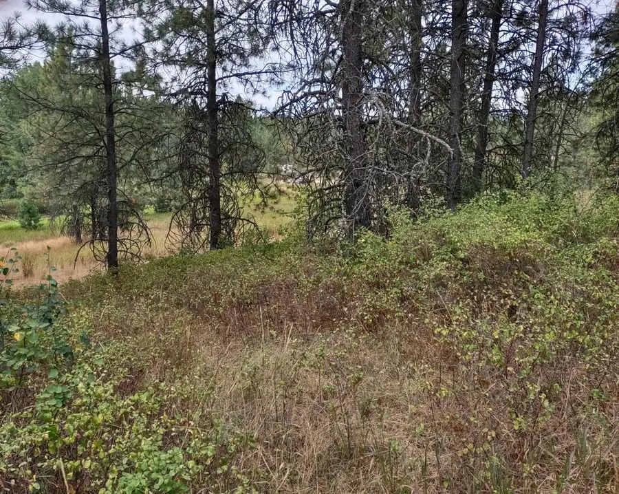 XX Little Sweden Rd, Valley, WA 99181 - Image #2