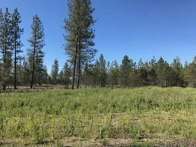 5742 J Corkscrew Canyon Rd, Tumtum, WA 99034-0000 - Image #1