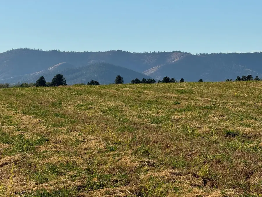 XXXX N Spotted Rd, Deer Park, WA 99006 - Image #2