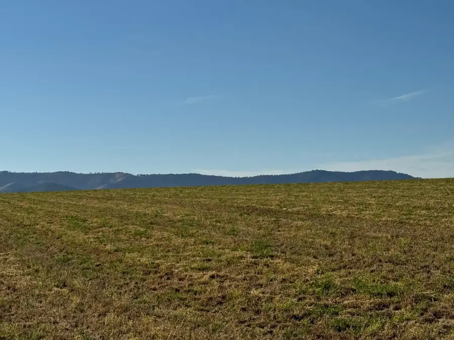 XXXX N Spotted Rd, Deer Park, WA 99006 - Image #3