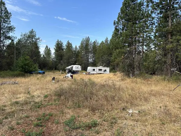 4464 Woods Way Rd, Springdale, WA 99173