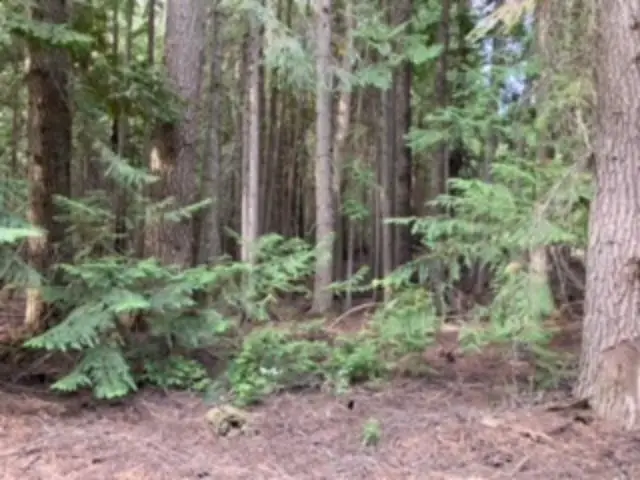 Nka. Leslie Creek Rd, Chewelah, WA 99109 - Image #1