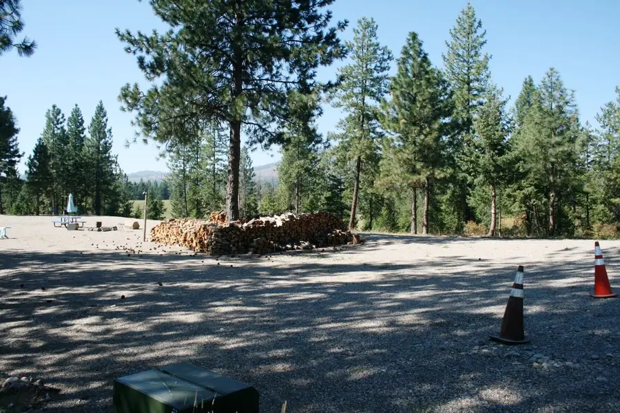 5203 Olinger Rd, Springdale, WA 99173 - Image #2