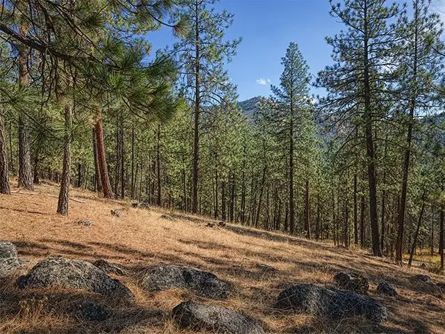 TBD Raven Ridge St, Nine Mile Falls, WA 99026 - Image #3