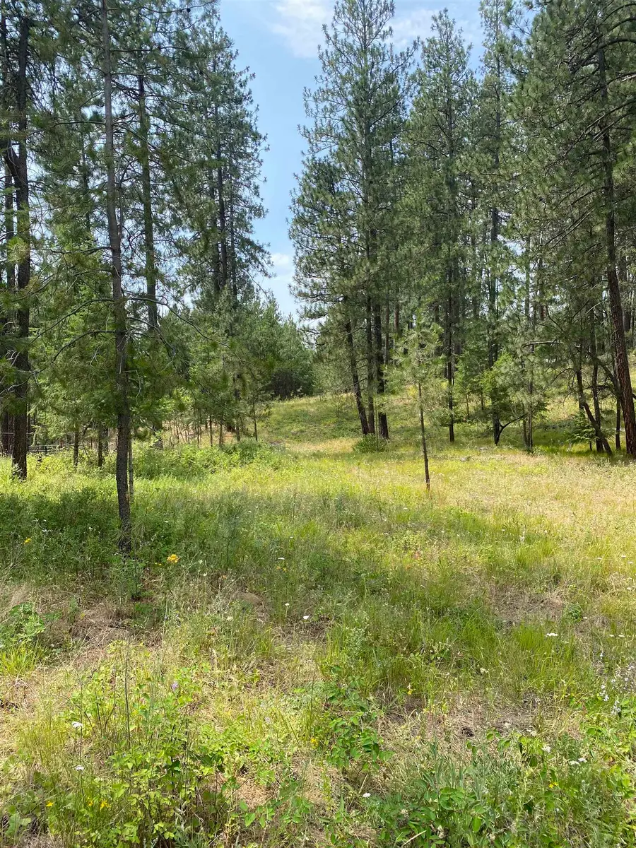 XXXXX E Elk-chattaroy Rd, Elk, WA 99009 - #2