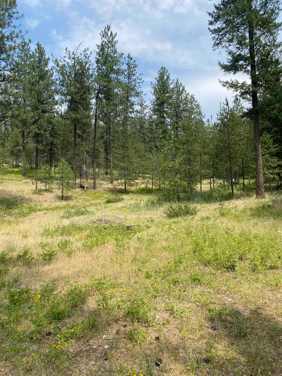 XXXXX E Elk-chattaroy Rd, Elk, WA 99009 - #3