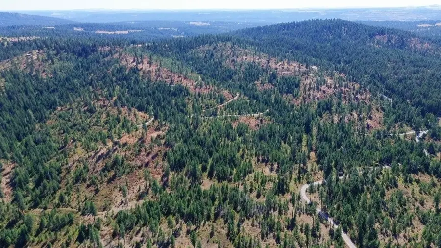 52XX Lot 5 S Swenson Rd, Deer Park, WA 99006 - Image #2