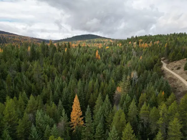 TBD Schlegel Ranch Rd, Ione, WA 99139-0000