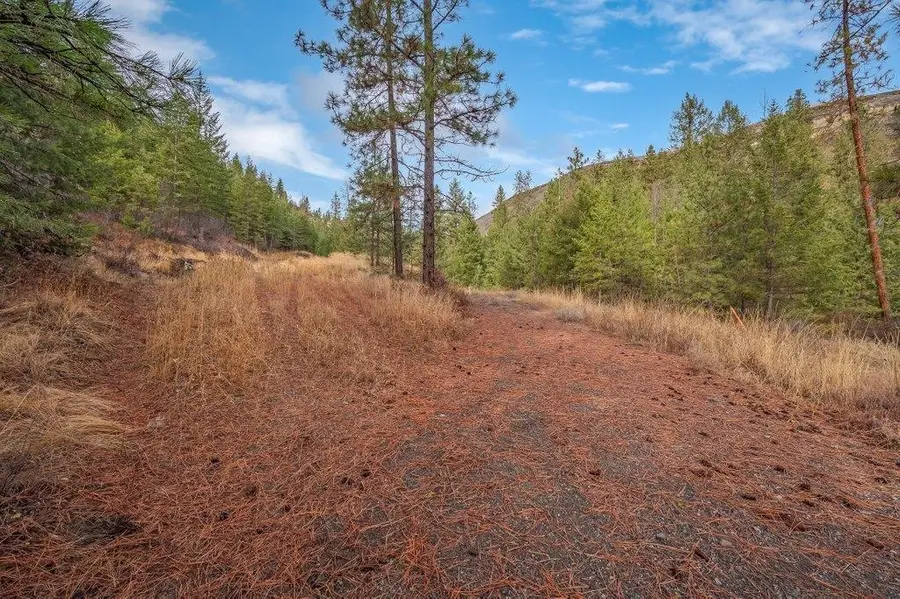 31293 E Blue Grouse Dr, Davenport, WA 99122 - Image #3