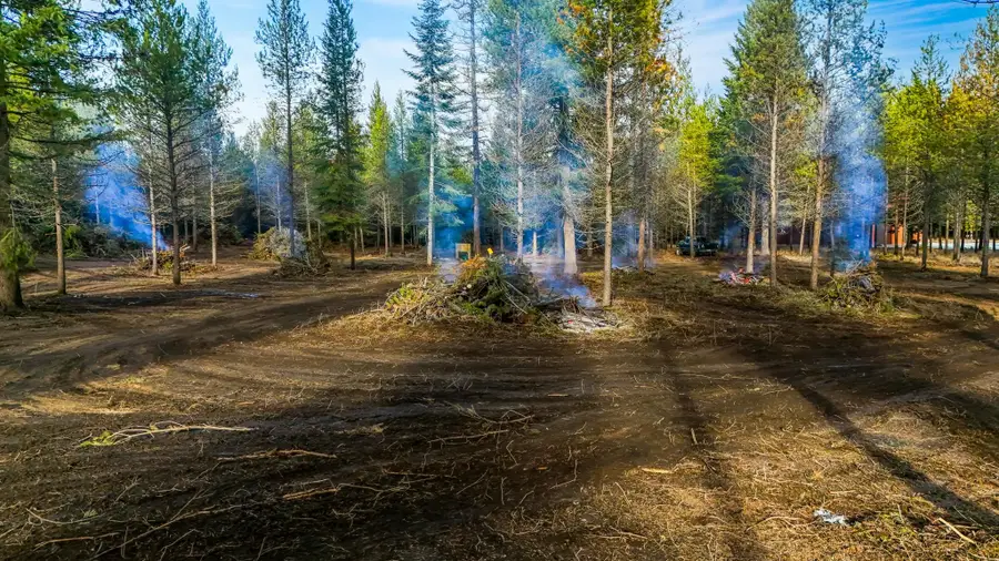 321 Glendale Dr, Newport, WA 99156 - Image #3