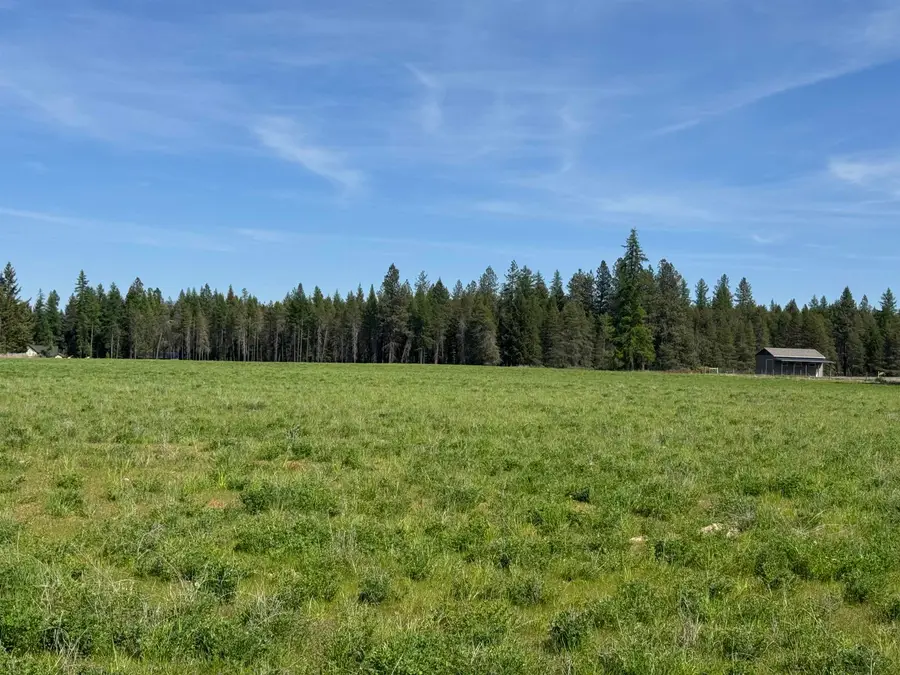 29210 N Spotted Rd, Deer Park, WA 99006 - Image #2