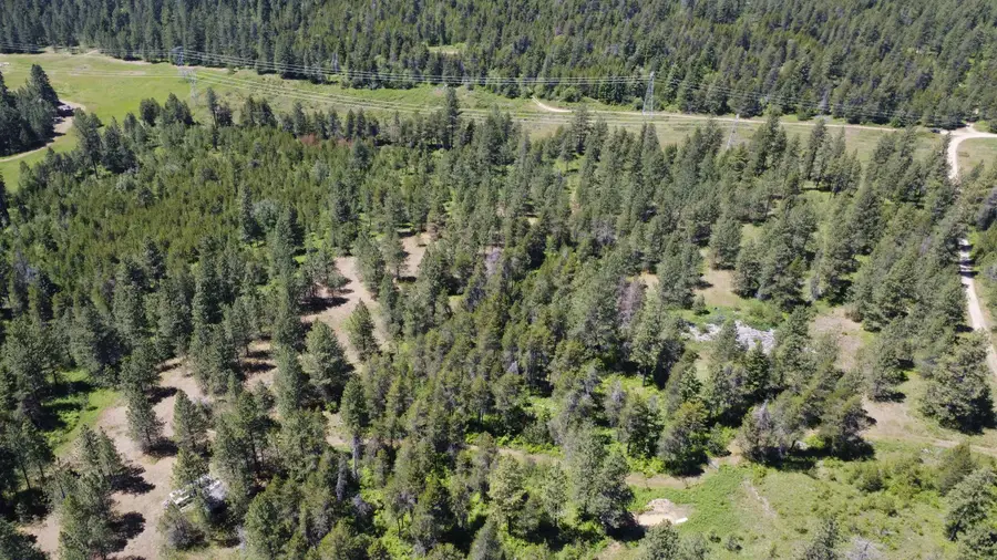 XX N Waldrons Ln, Chattaroy, WA 99003 - Image #3