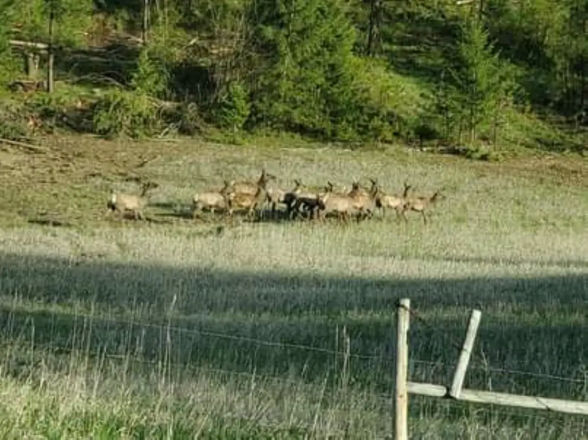 6066 Turk Rd, Fruitland, WA 99129 - Image #1