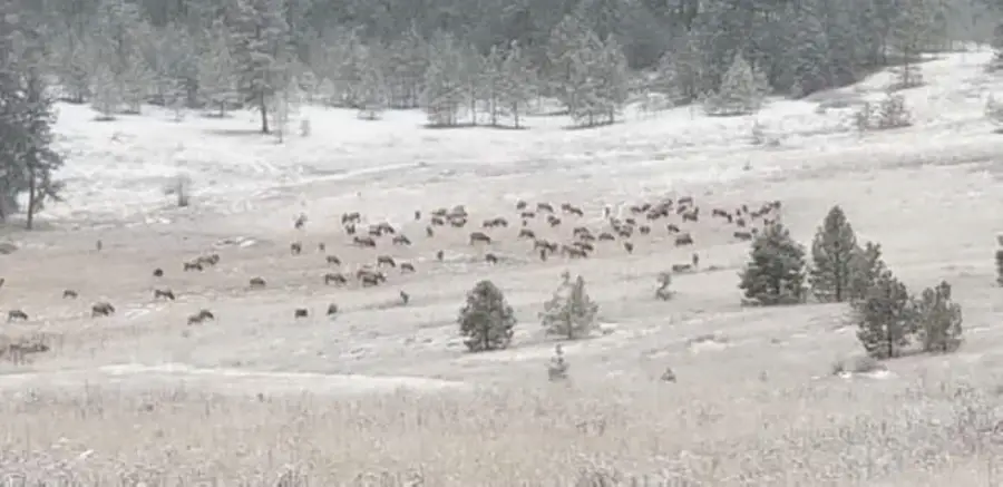 6066 Turk Rd, Fruitland, WA 99129 - Image #3