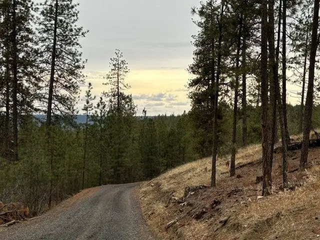 587x Lower Weaver Way, Deer Park, WA 99006 - Image #2