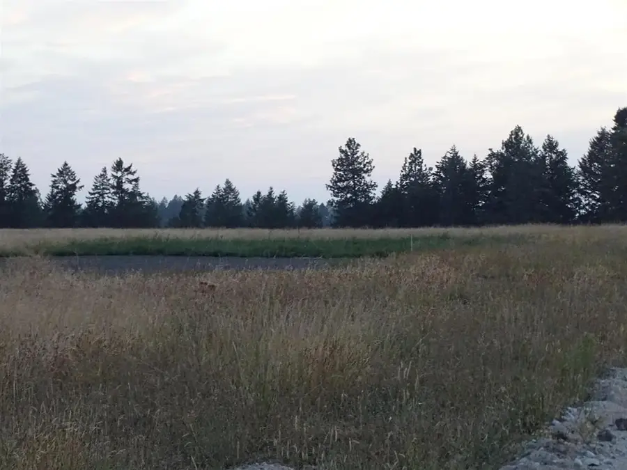 24xxx N Orchard Rd, Chattaroy, WA 99003-0000 - Image #3