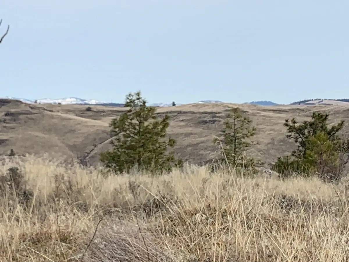 31805 E Ruffed Grouse Dr, Davenport, WA 99122 - Image #1