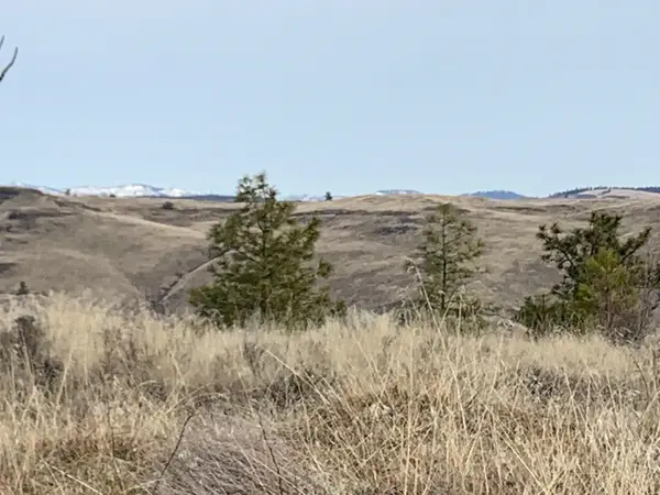 31805 E Ruffed Grouse Dr, Davenport, WA 99122