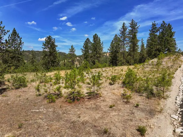 NKA N Cliff Ln, Spokane, WA 99208