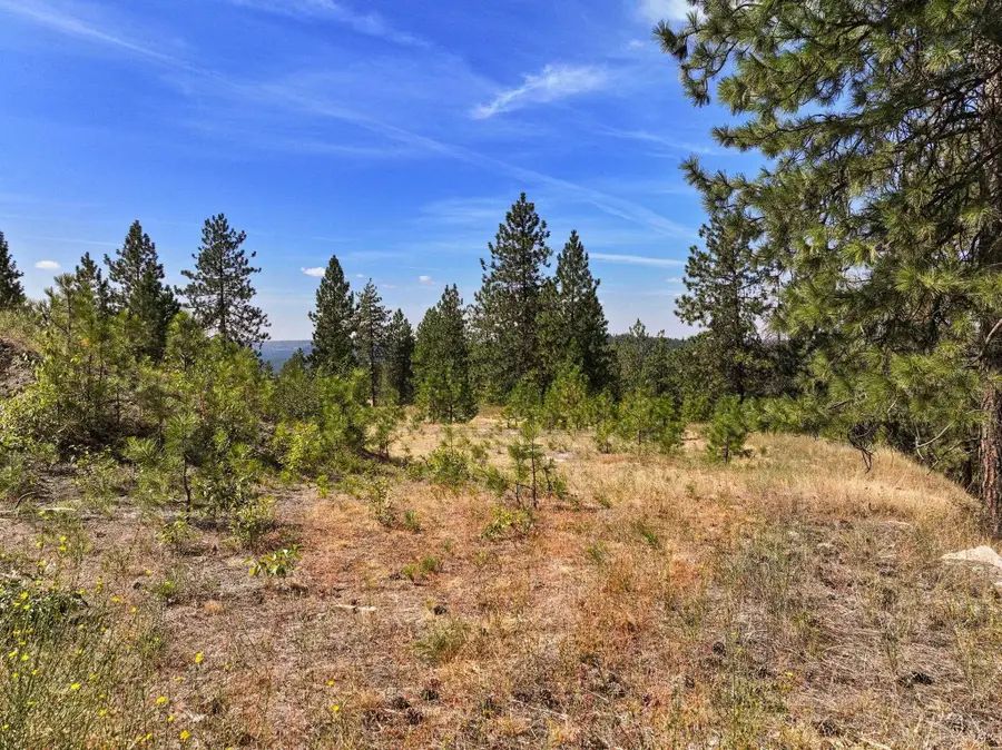 NKA N Cliff Ln, Spokane, WA 99208 - Image #2