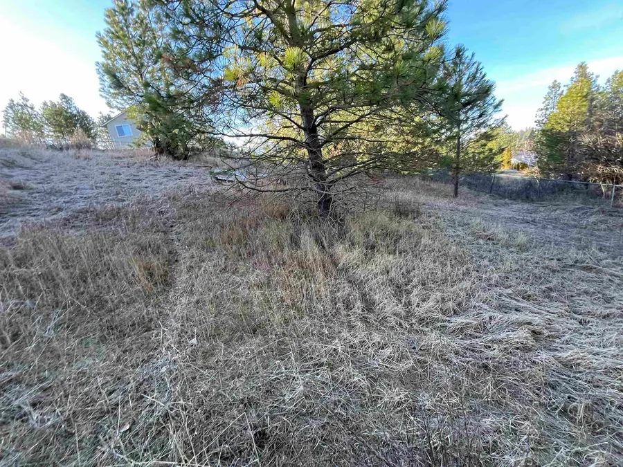 218 N Cliff Ct, Rockford, WA 99030 - Image #3