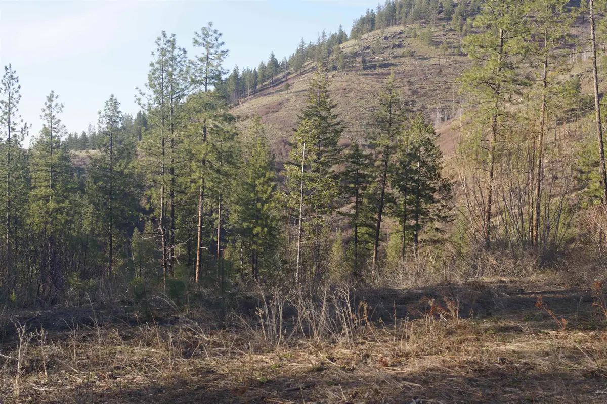 NKA Coyote Canyon Rd, Fruitland, WA 99129 - Image #1