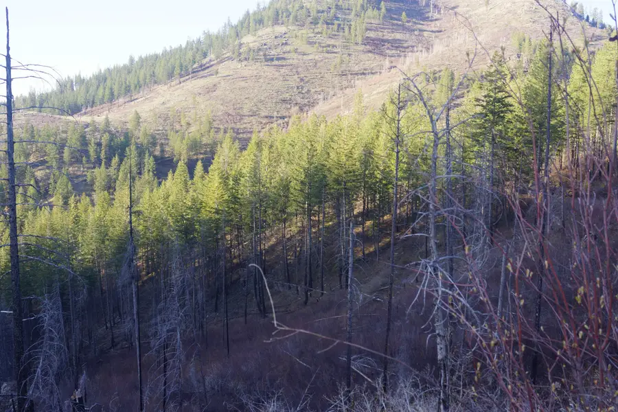 NKA Coyote Canyon Rd, Fruitland, WA 99129 - Image #2