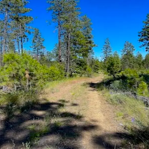 Lot B Kronos Short Plat Ln, Davenport, WA 99122