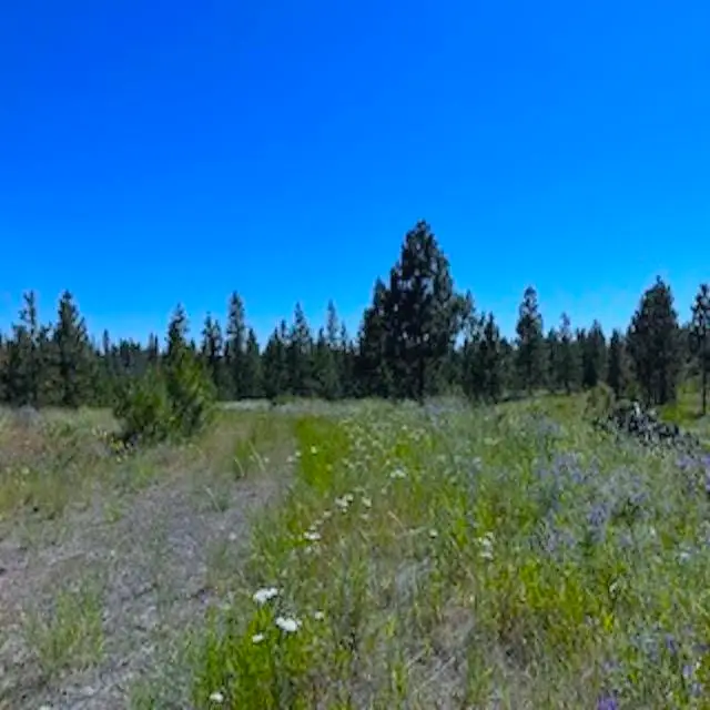 Lot B Kronos Short Plat Ln, Davenport, WA 99122 - Image #2
